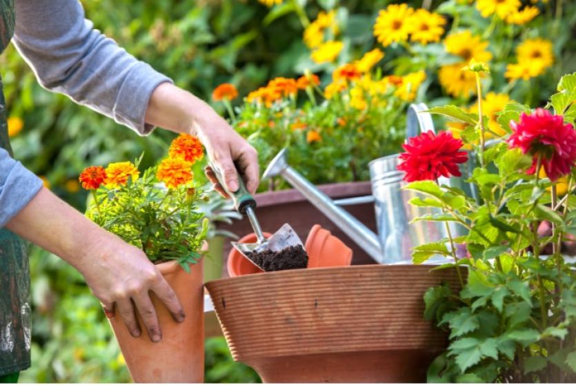 12 tips for a more sustainable garden